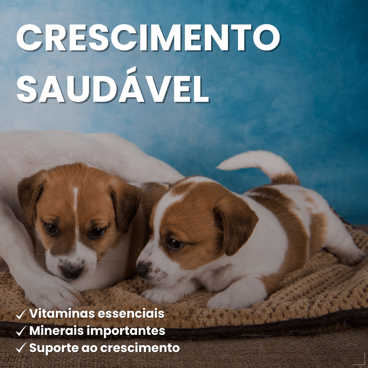 PremieR Ambientes Internos Papinha Desmame para Cães Filhotes 1 kg