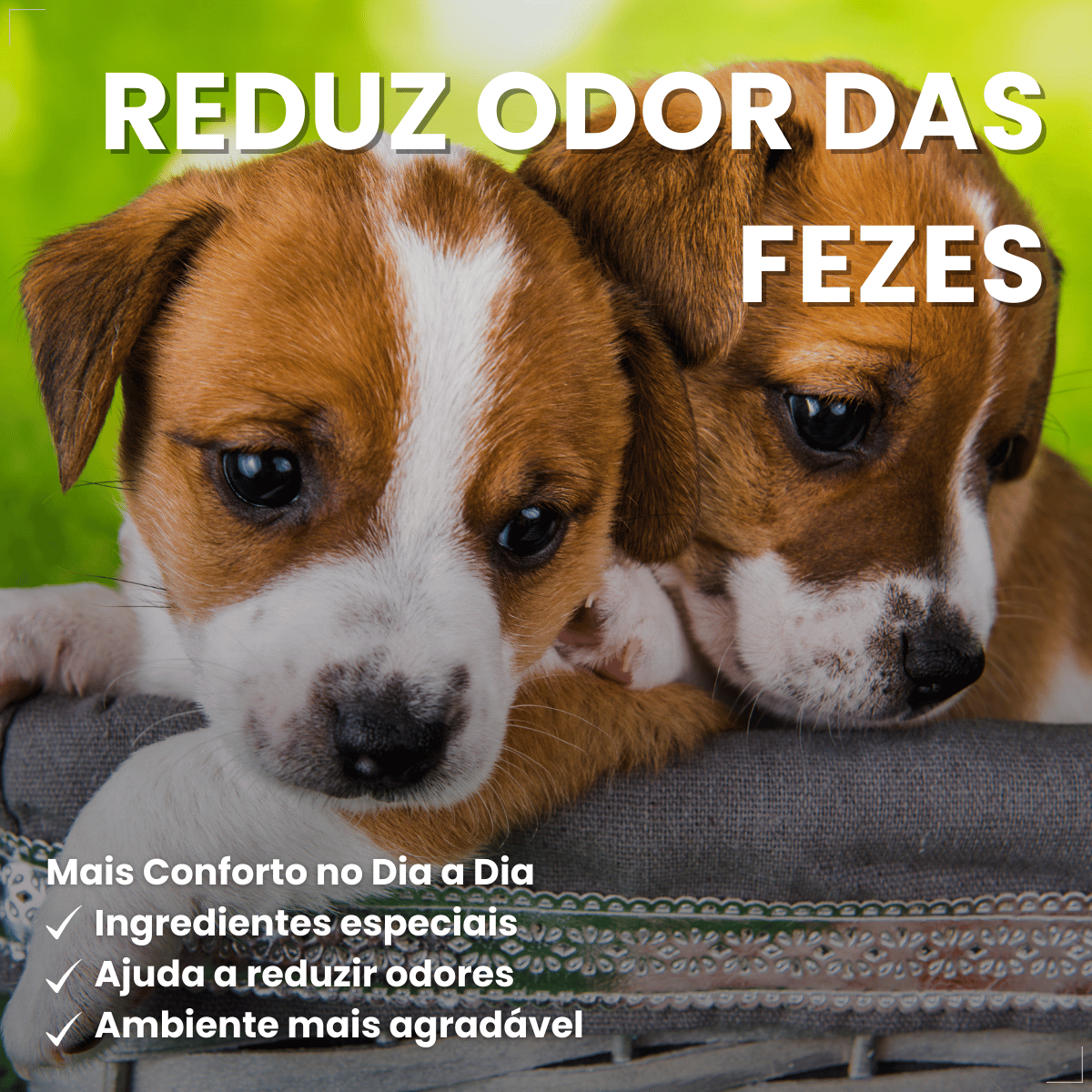 PremieR Ambientes Internos Papinha Desmame para Cães Filhotes 1 kg