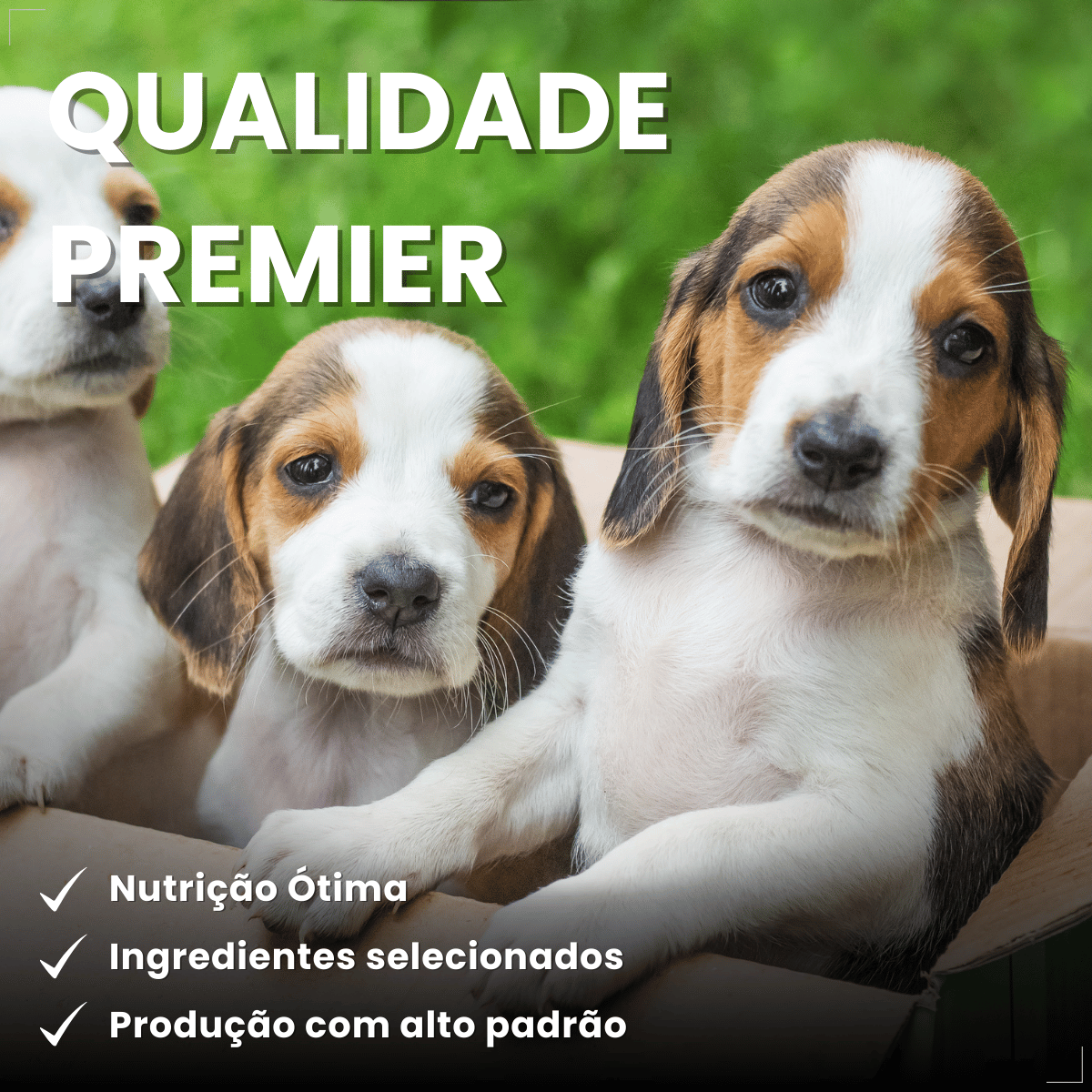 PremieR Ambientes Internos Papinha Desmame para Cães Filhotes 1 kg