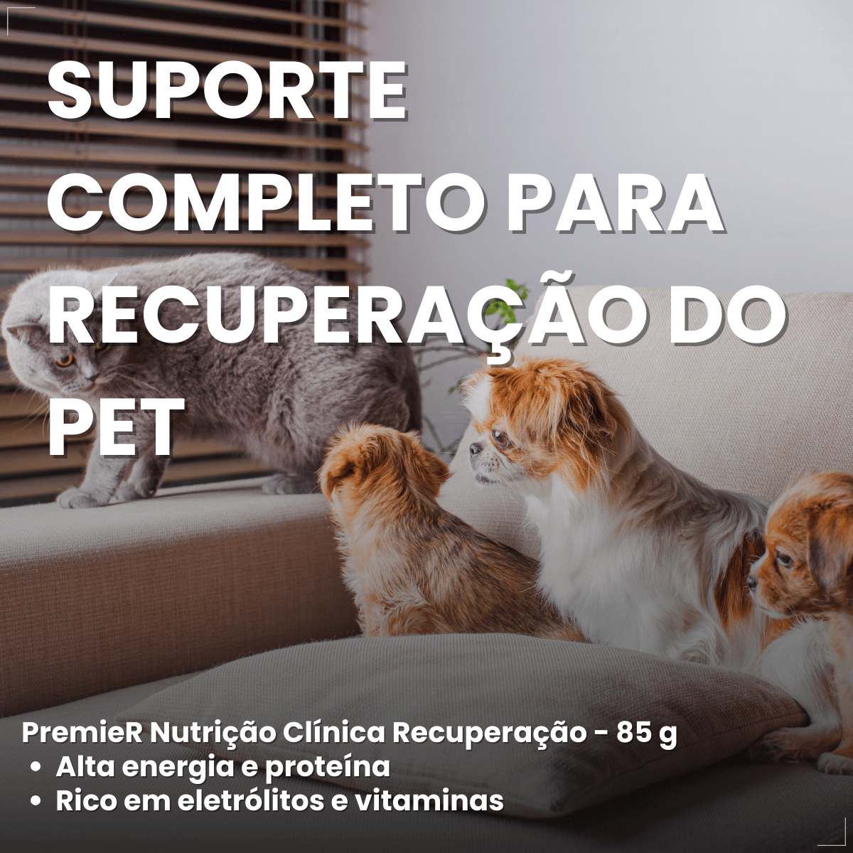 PremieR Nutrição Clínica Úmidos Recuperação Cães e Gatos