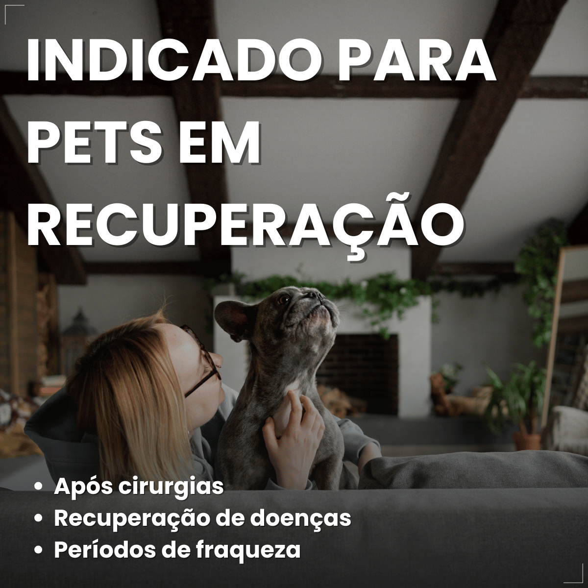 PremieR Nutrição Clínica Úmidos Recuperação Cães e Gatos