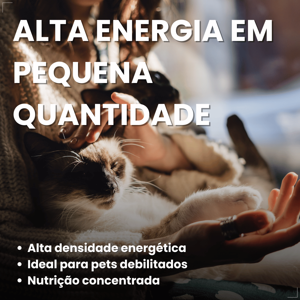 PremieR Nutrição Clínica Úmidos Recuperação Cães e Gatos
