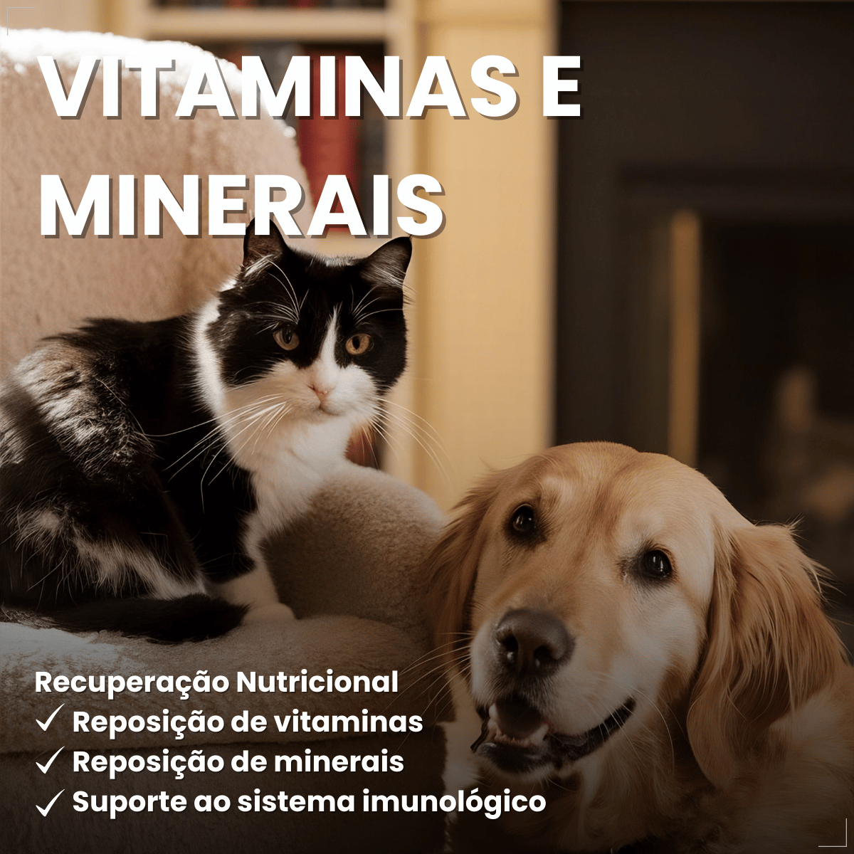 PremieR Nutrição Clínica Úmidos Recuperação Cães e Gatos