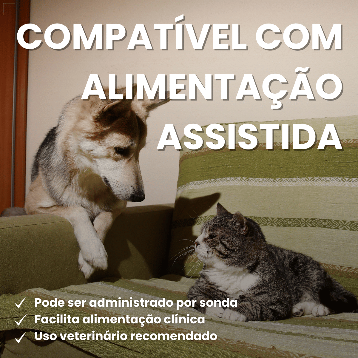 PremieR Nutrição Clínica Úmidos Recuperação Cães e Gatos