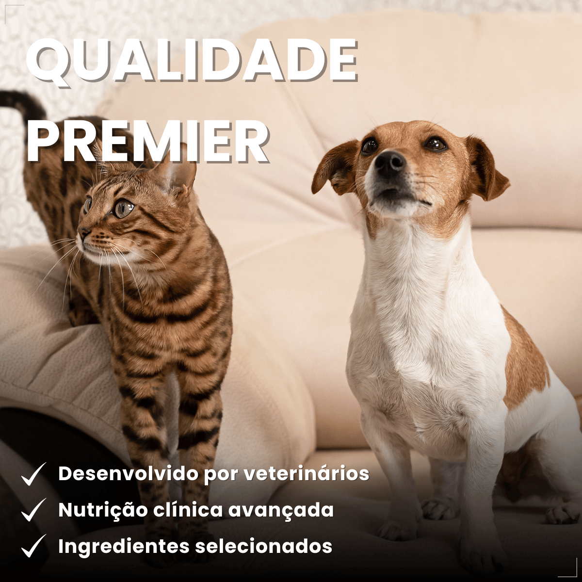 PremieR Nutrição Clínica Úmidos Recuperação Cães e Gatos