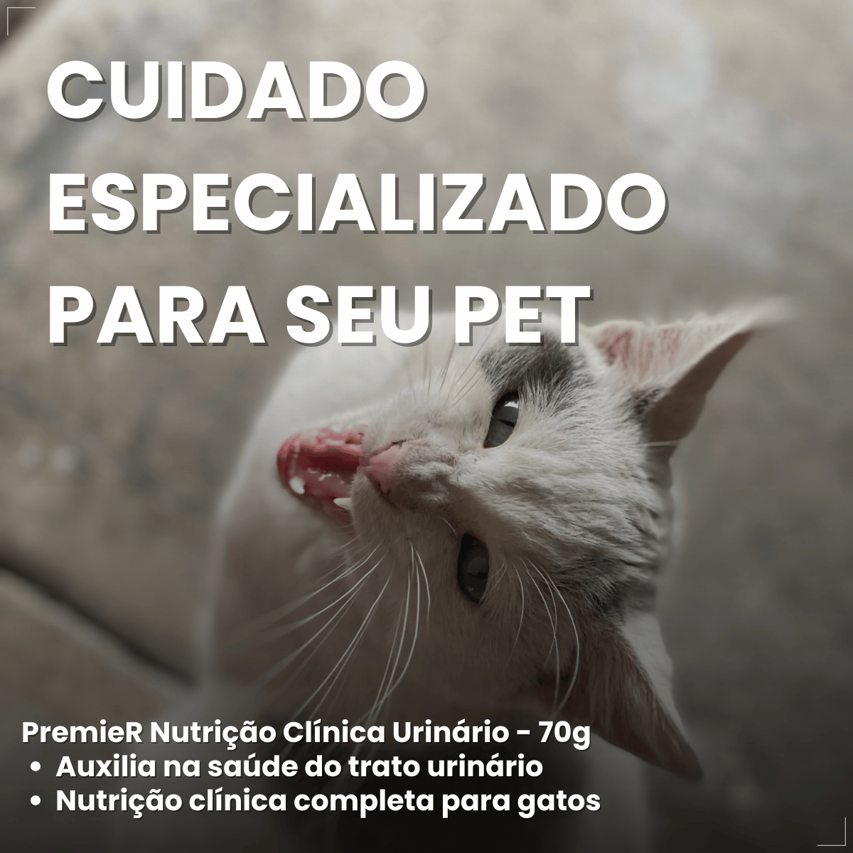 PremieR Nutrição Clínica Úmidos Gatos Urinário 70g