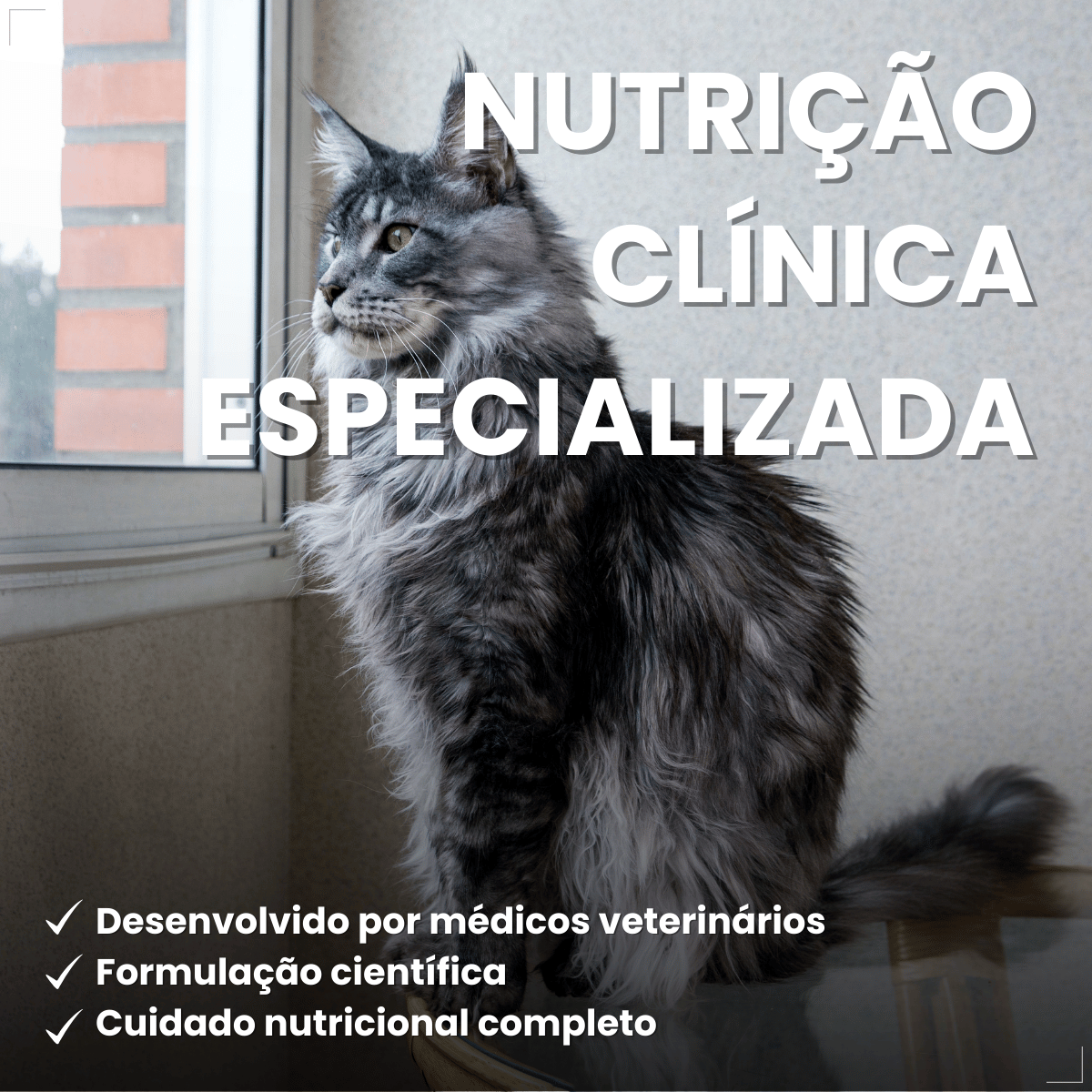 PremieR Nutrição Clínica Úmidos Gatos Urinário 70g