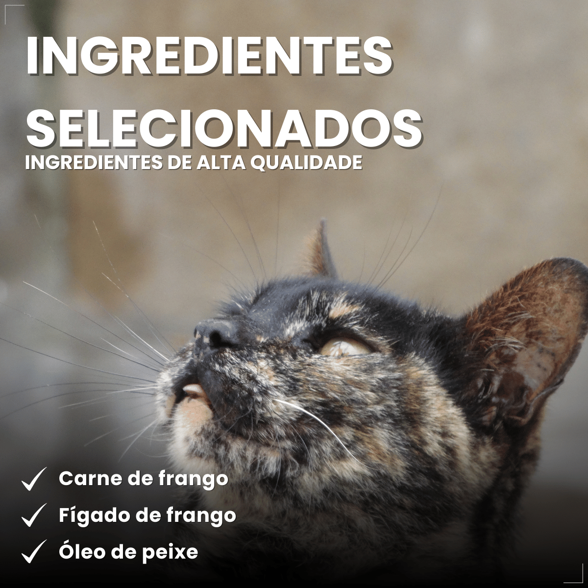 PremieR Nutrição Clínica Úmidos Gatos Urinário 70g
