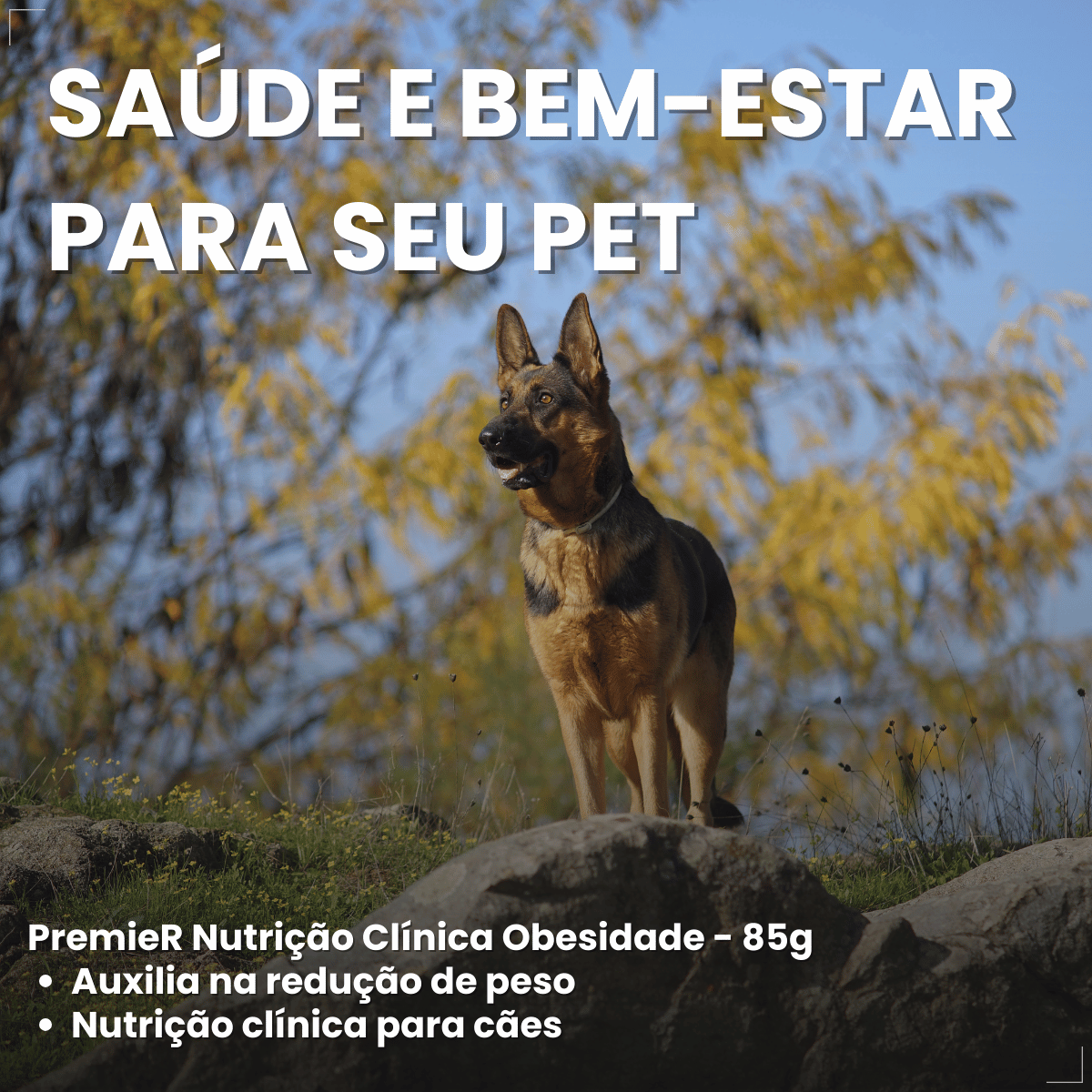 PremieR Nutrição Clínica Úmidos Cães Obesidade 85g