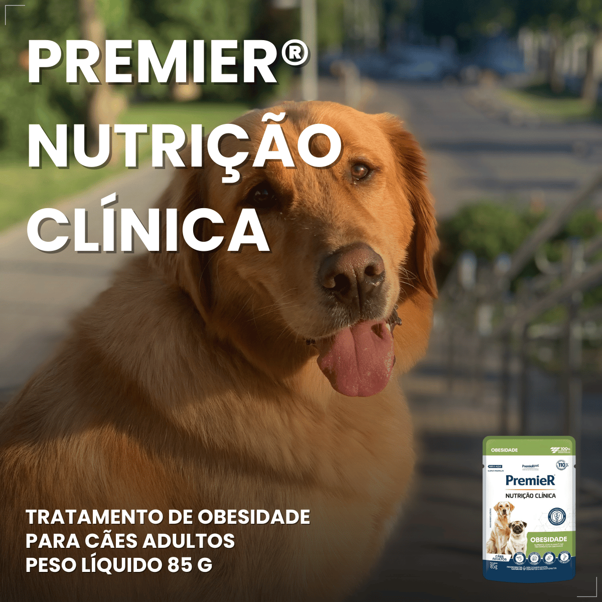 PremieR Nutrição Clínica Úmidos Cães Obesidade 85g