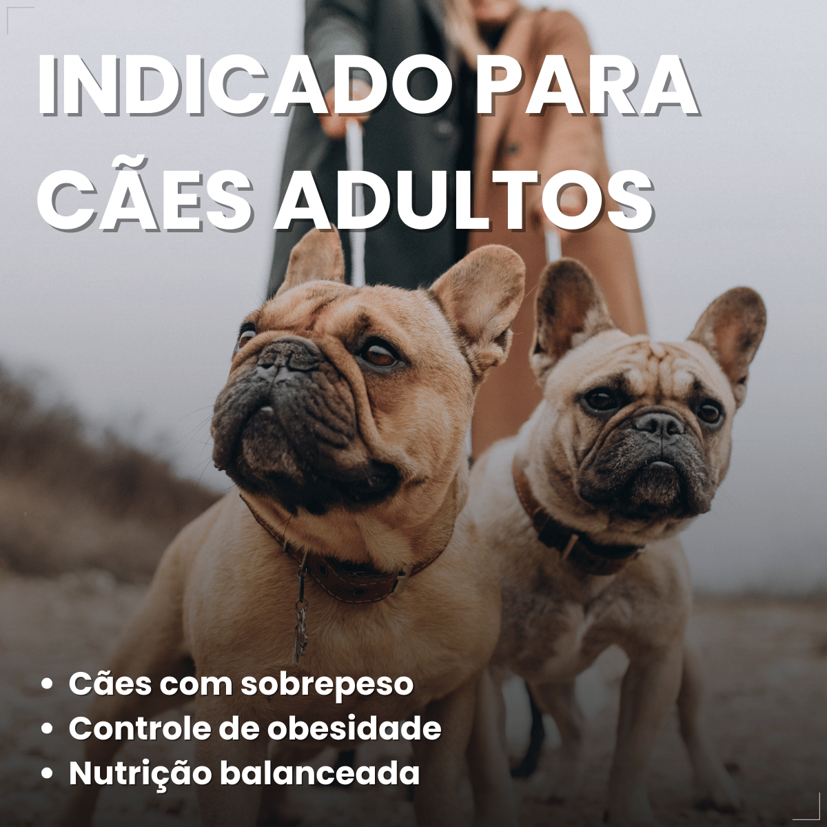 PremieR Nutrição Clínica Úmidos Cães Obesidade 85g