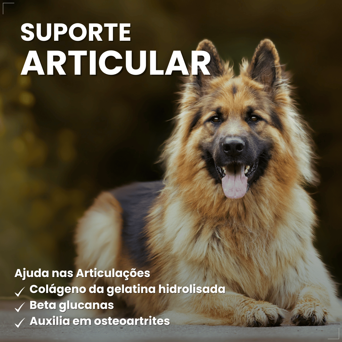 PremieR Nutrição Clínica Úmidos Cães Obesidade 85g