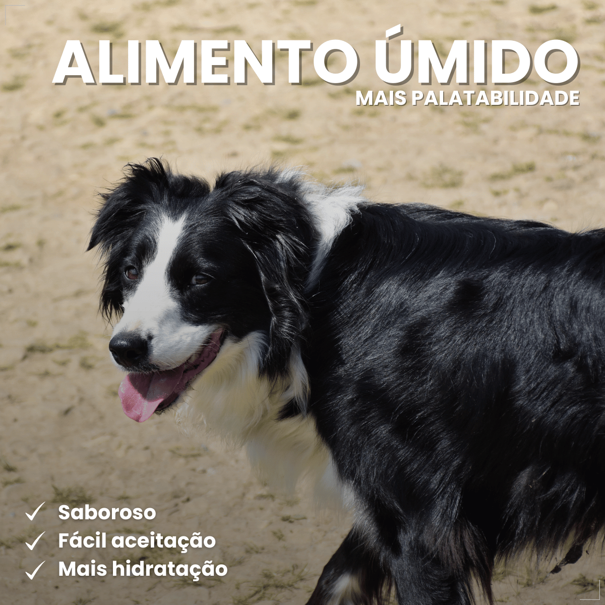 PremieR Nutrição Clínica Úmidos Cães Obesidade 85g
