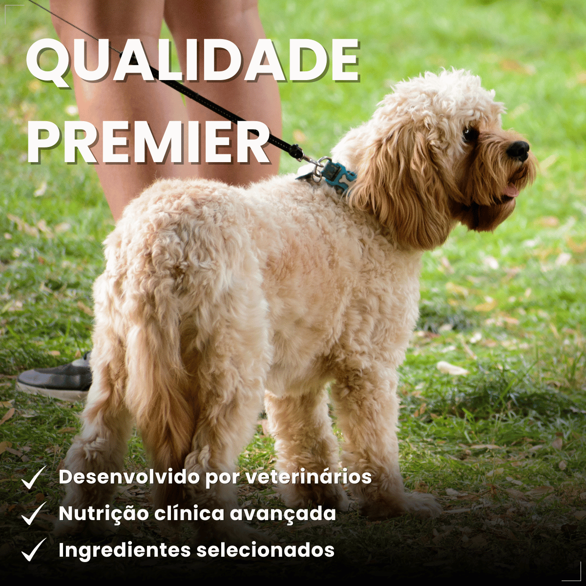 PremieR Nutrição Clínica Úmidos Cães Obesidade 85g