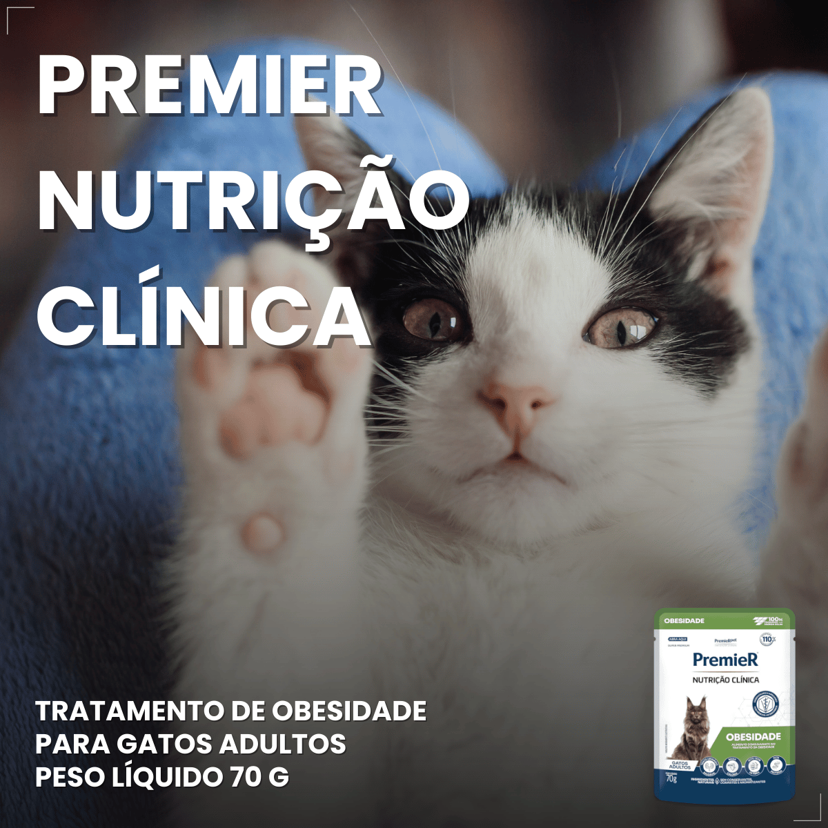 PremieR Nutrição Clínica Úmidos Gatos Obesidade 70g
