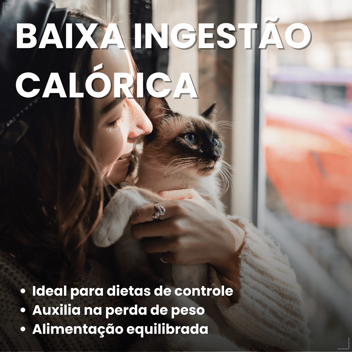 PremieR Nutrição Clínica Úmidos Gatos Obesidade 70g