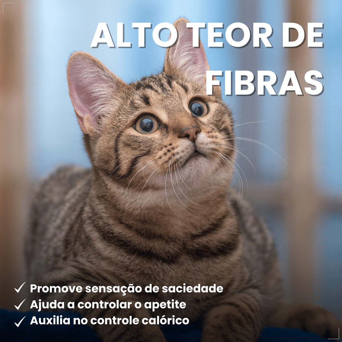 PremieR Nutrição Clínica Úmidos Gatos Obesidade 70g