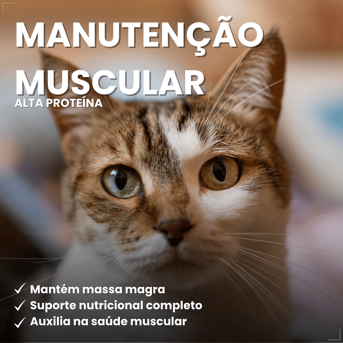 PremieR Nutrição Clínica Úmidos Gatos Obesidade 70g