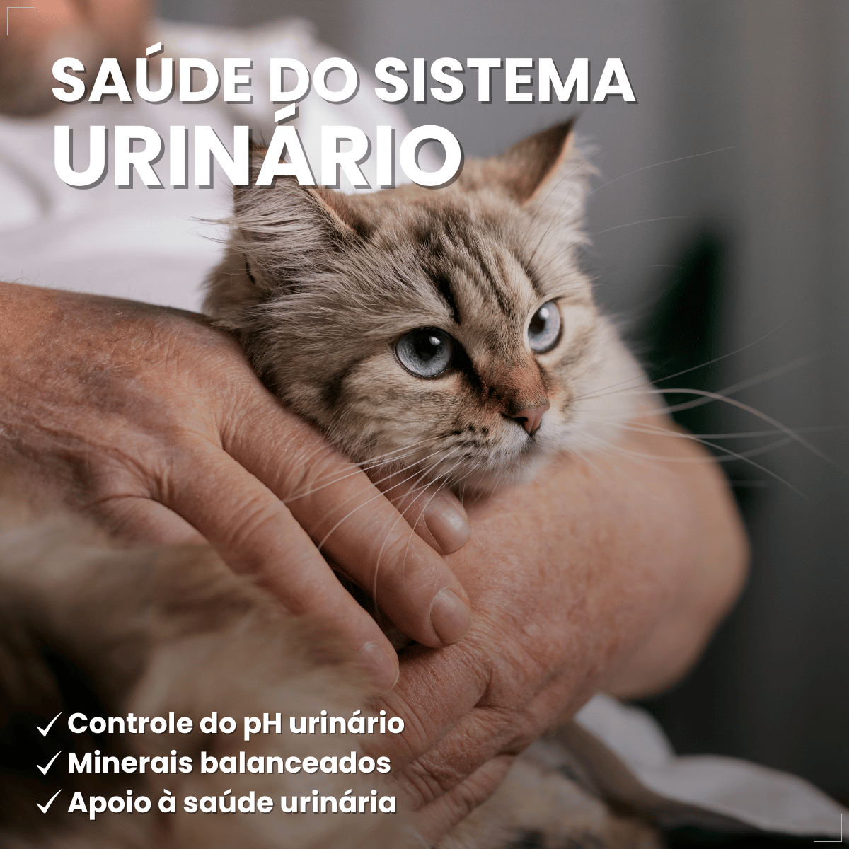 PremieR Nutrição Clínica Úmidos Gatos Obesidade 70g
