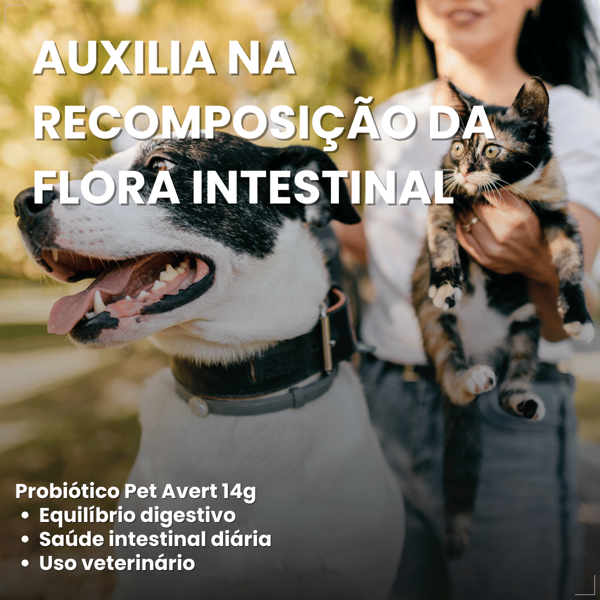 Probiótico Pet Para Cães E Gatos Avert 14g 1 Unidade