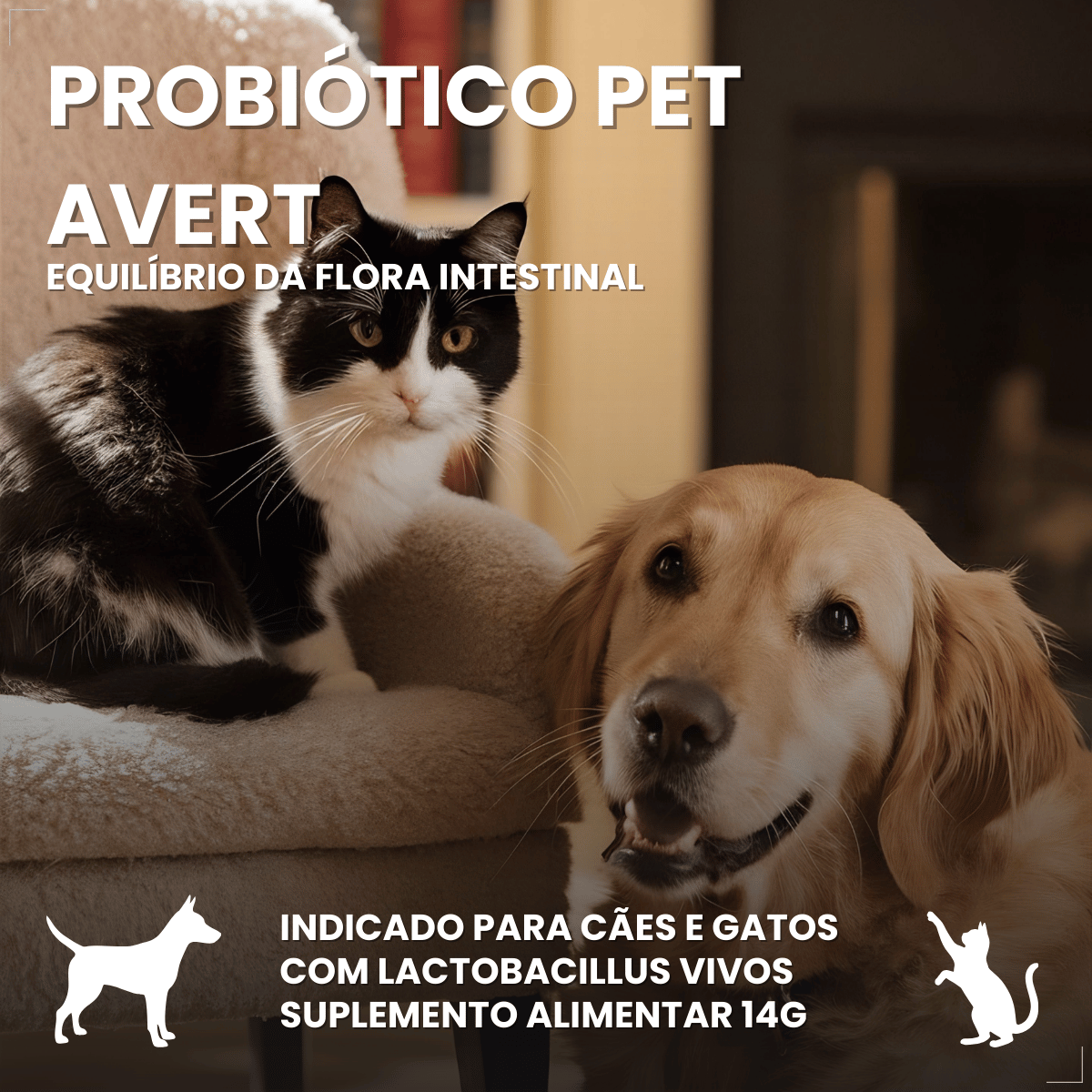 Probiótico Pet Para Cães E Gatos Avert 14g 1 Unidade