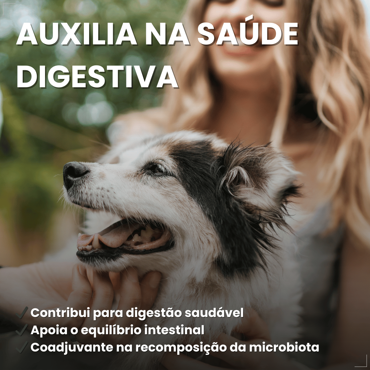 Kit 3 Probiótico Pet Para Cães E Gatos Avert 14g 1 Unidade