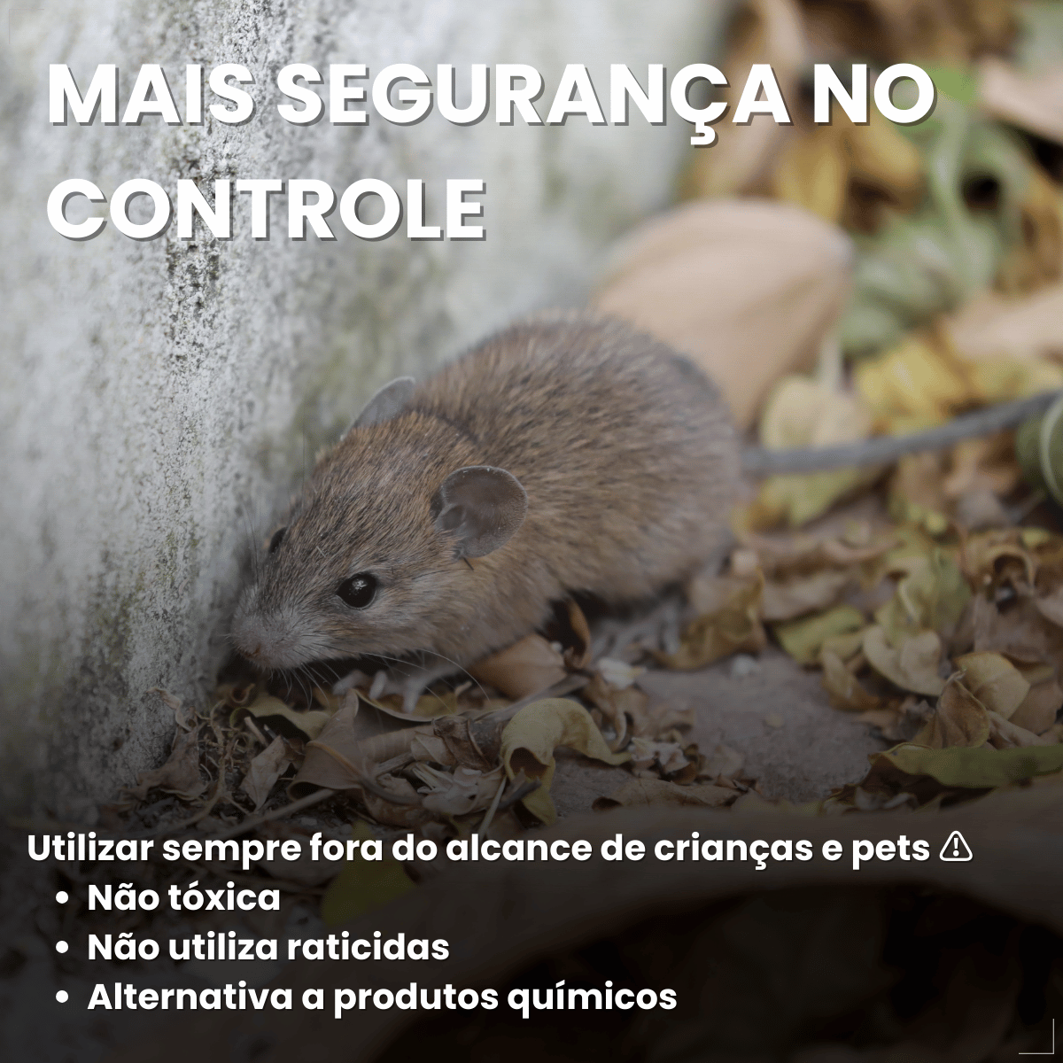 Ratoeira Adesiva Cola Pega Rato Visgo American C/ 2 Peças