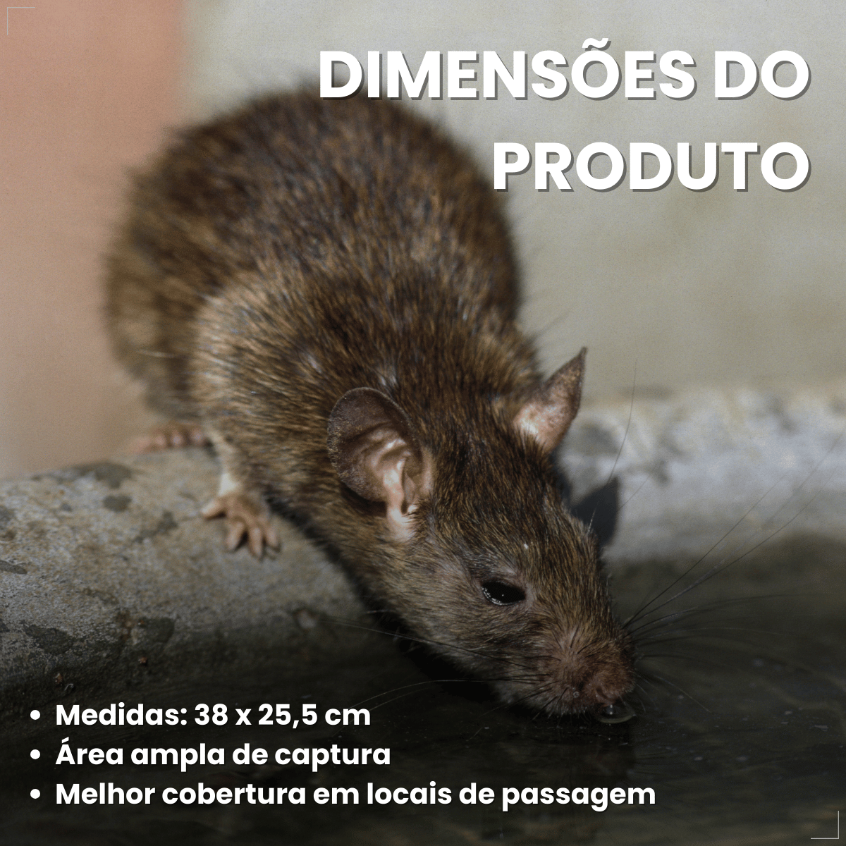 Ratoeira Adesiva Cola Pega Rato Visgo American C/ 2 Peças