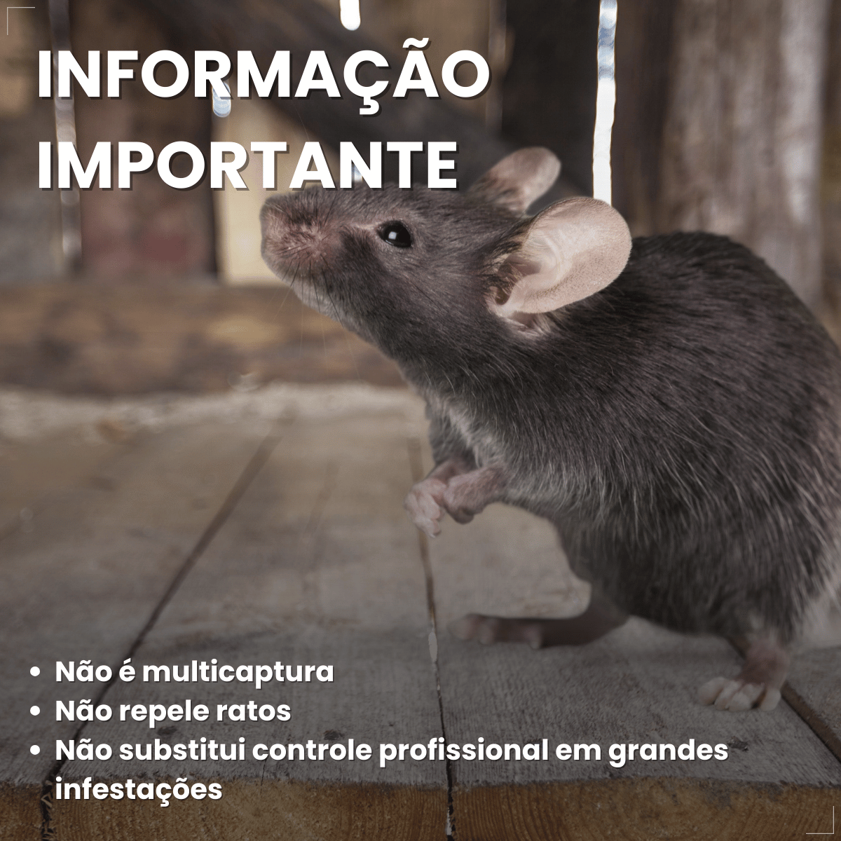 Ratoeira Adesiva Cola Pega Rato Visgo American C/ 2 Peças