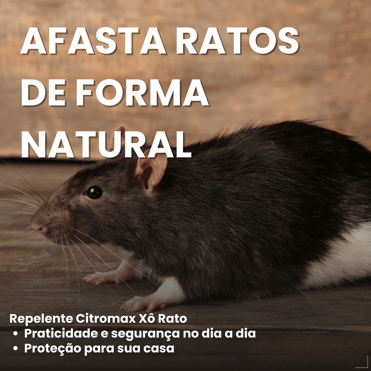 Repelente Citromax Xô Rato 300 g
