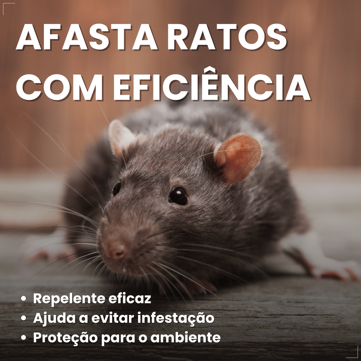 Repelente Citromax Xô Rato 300 g