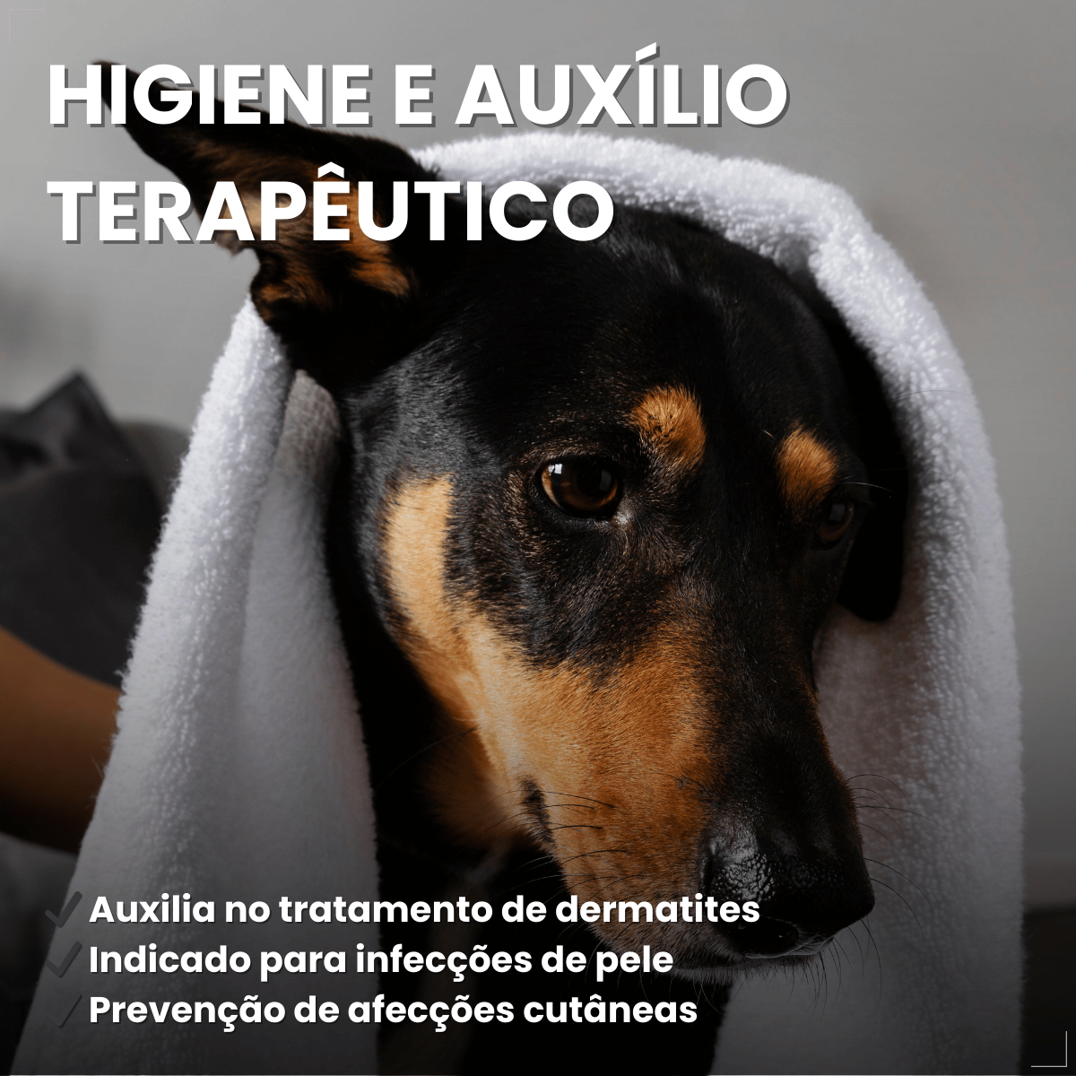 Sabonete Clorexidina Cães e Gatos World Veterinária 80 g