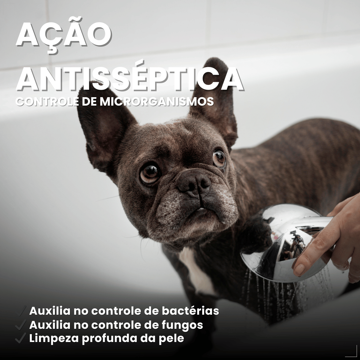 Sabonete Clorexidina Cães e Gatos World Veterinária 80 g