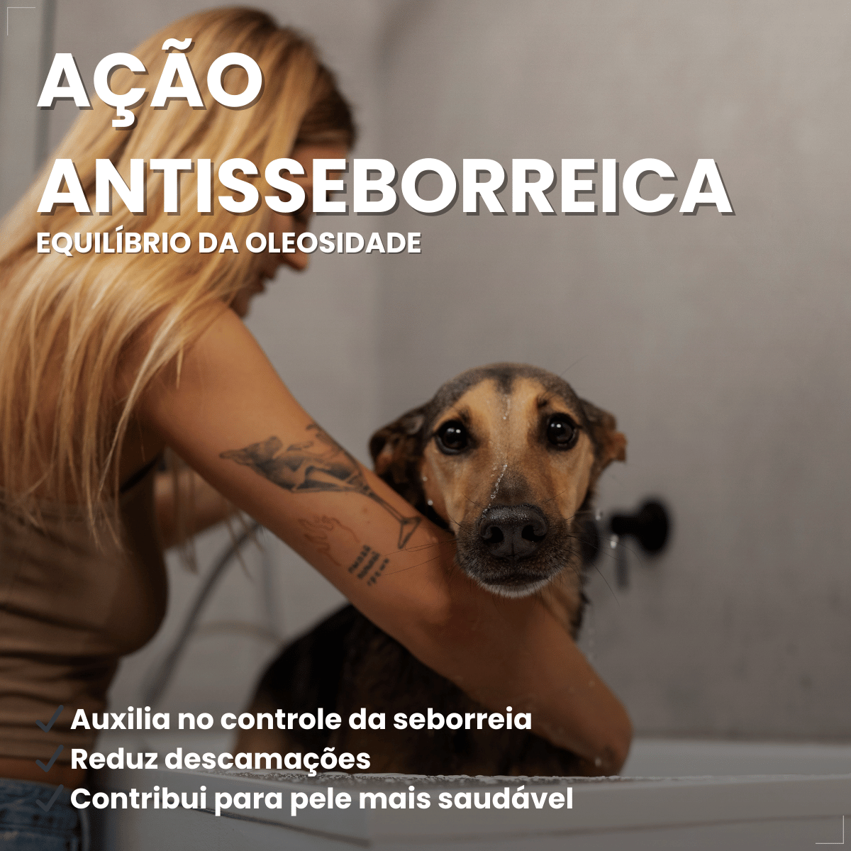Sabonete Clorexidina Cães e Gatos World Veterinária 80 g