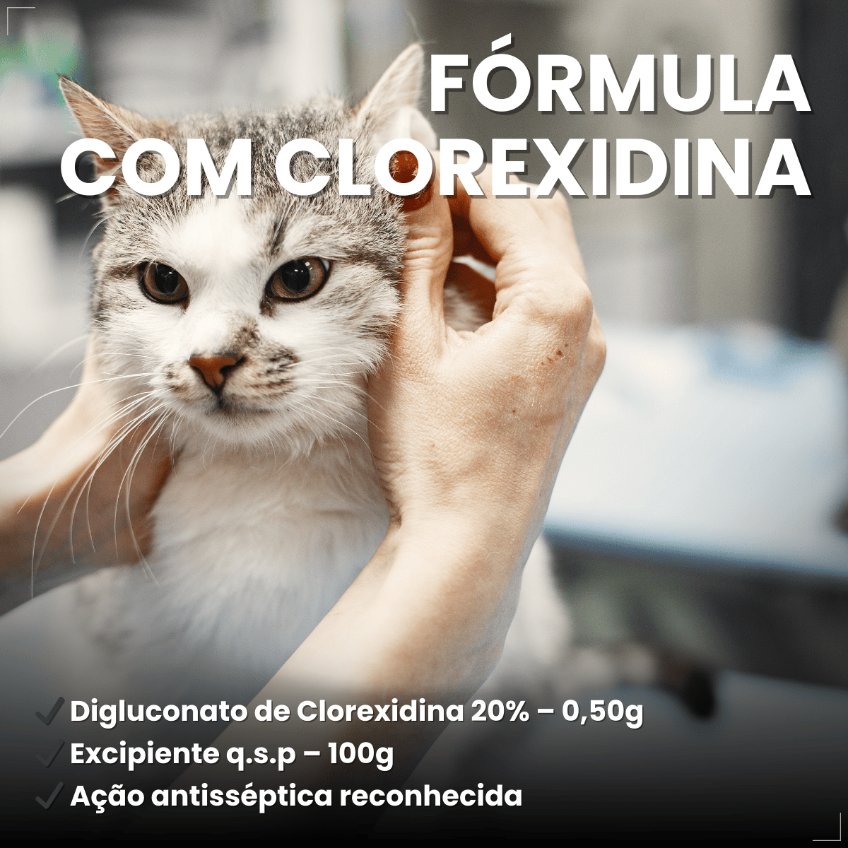 Sabonete Clorexidina Cães e Gatos World Veterinária 80 g