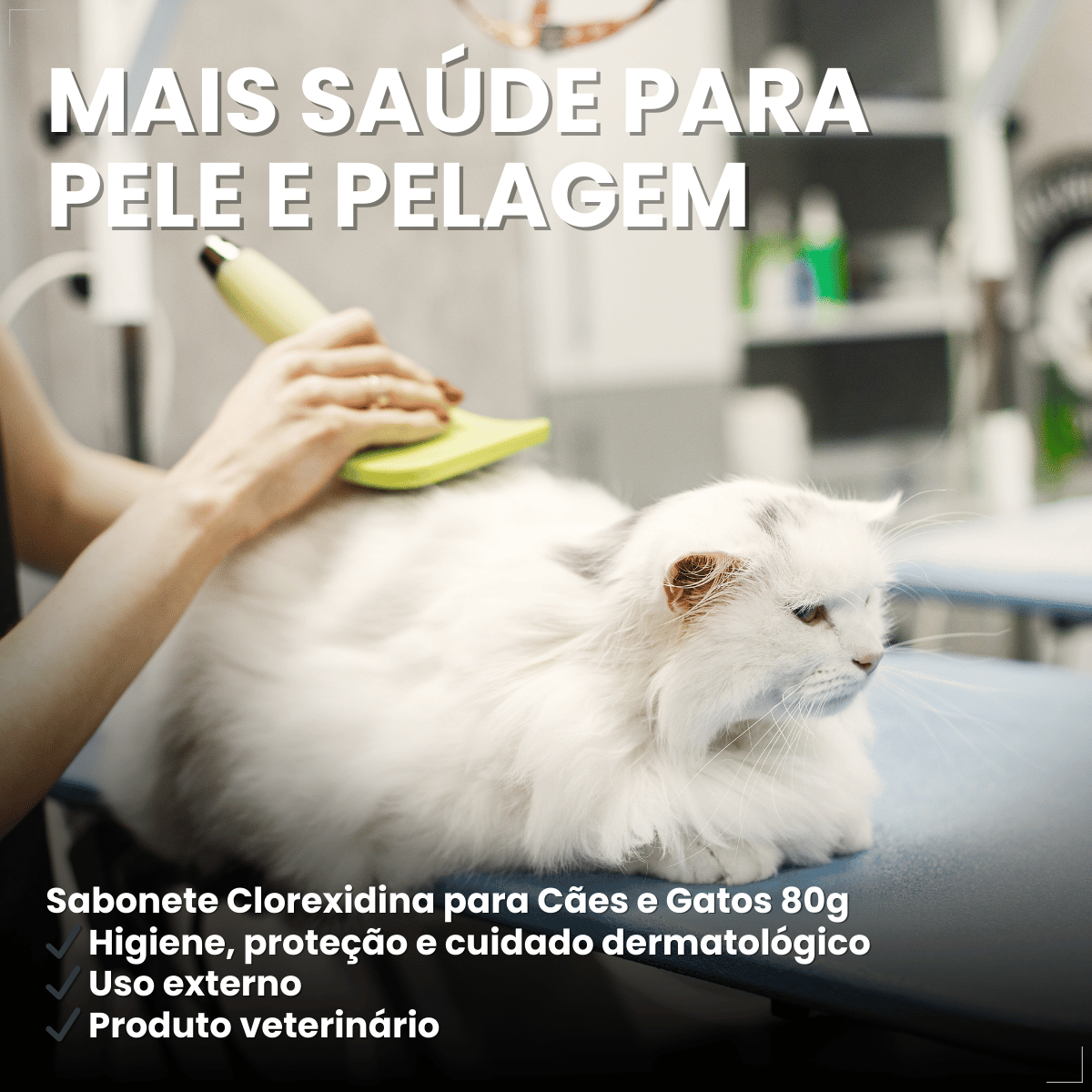 Sabonete Clorexidina Cães e Gatos World Veterinária 80 g