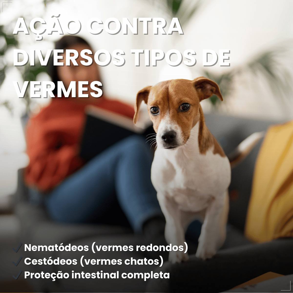 Sabonete Cães Matacura Pulga Piolho Carrapato Caspa Sarna