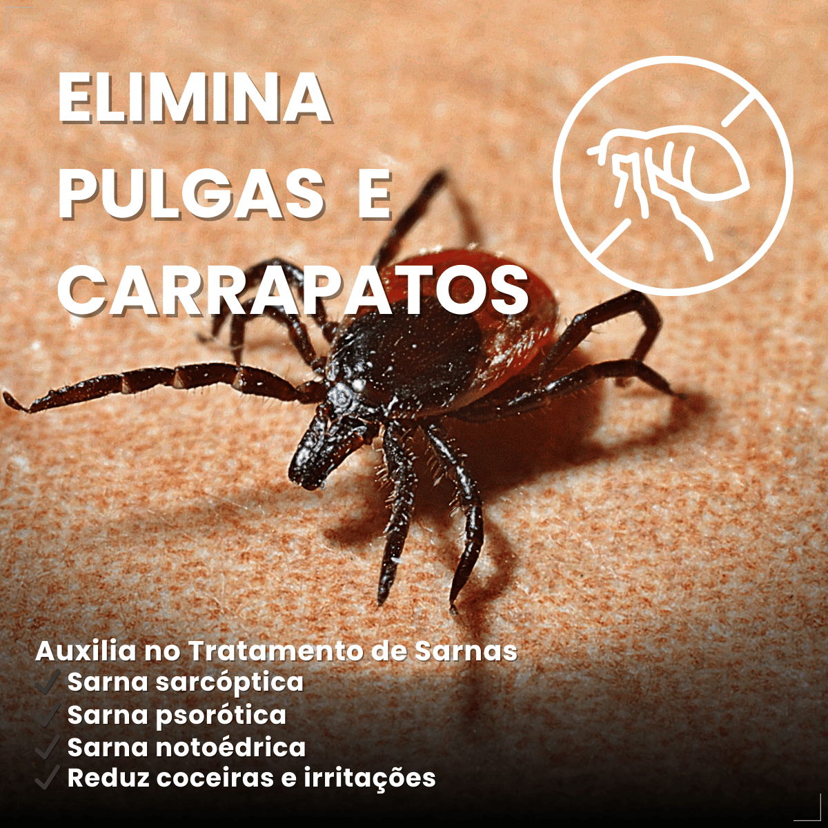 Sabonete Sarnicida e Antipulgas Matacura 80 g