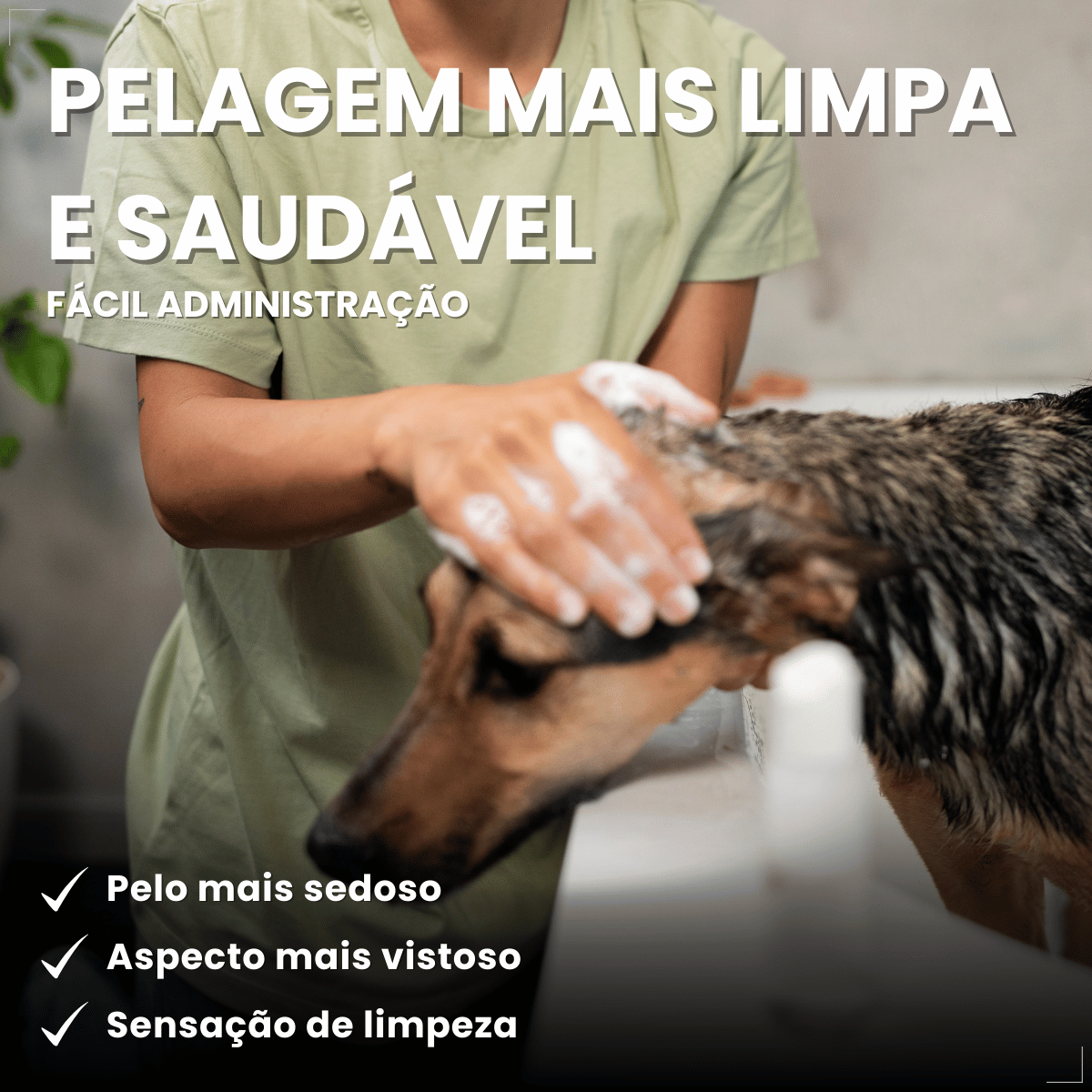 Kit 2 Sabonete Cão  Sarnicida e Antipulgas Matacura 80g