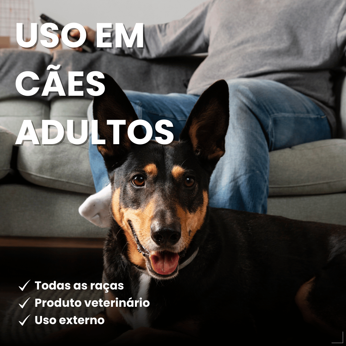 Kit 5 Sabonete Cão Sarnicida e Antipulgas Matacura 80g
