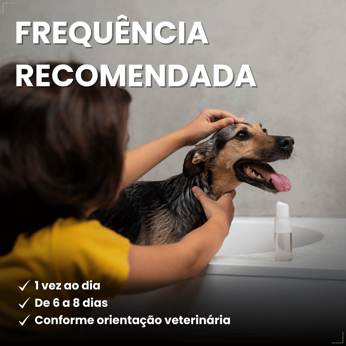 Sabonete Cães Matacura Pulga Piolho Carrapato Caspa Sarna