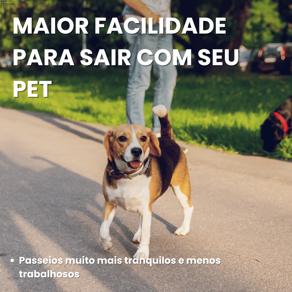 CataCaca Rolinhos Pet Saquinho Lixo Cor Sortida 15 Unidades