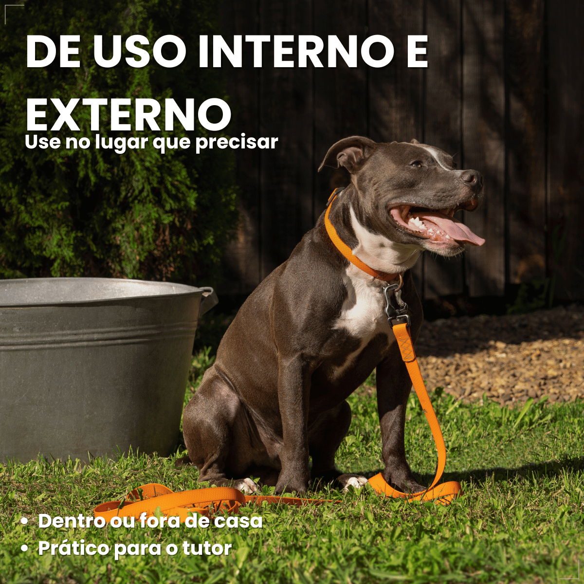 CataCaca Rolinhos Pet Saquinho Lixo Cor Sortida 15 Unidades