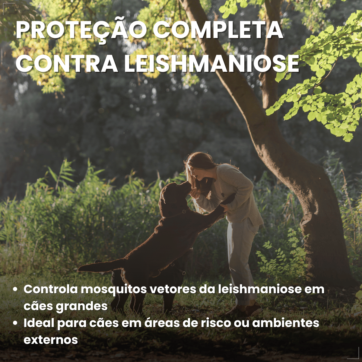 Coleira Scalibor Antipulgas Grande 65cm MSD