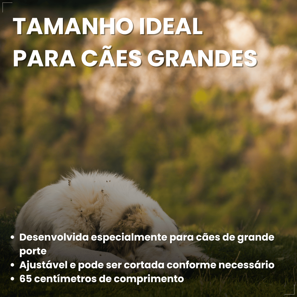 Kit 2 Coleira Scalibor Antipulgas Grande 65cm MSD