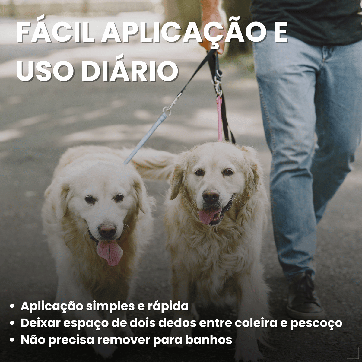 Coleira Scalibor Antipulgas Grande 65cm MSD