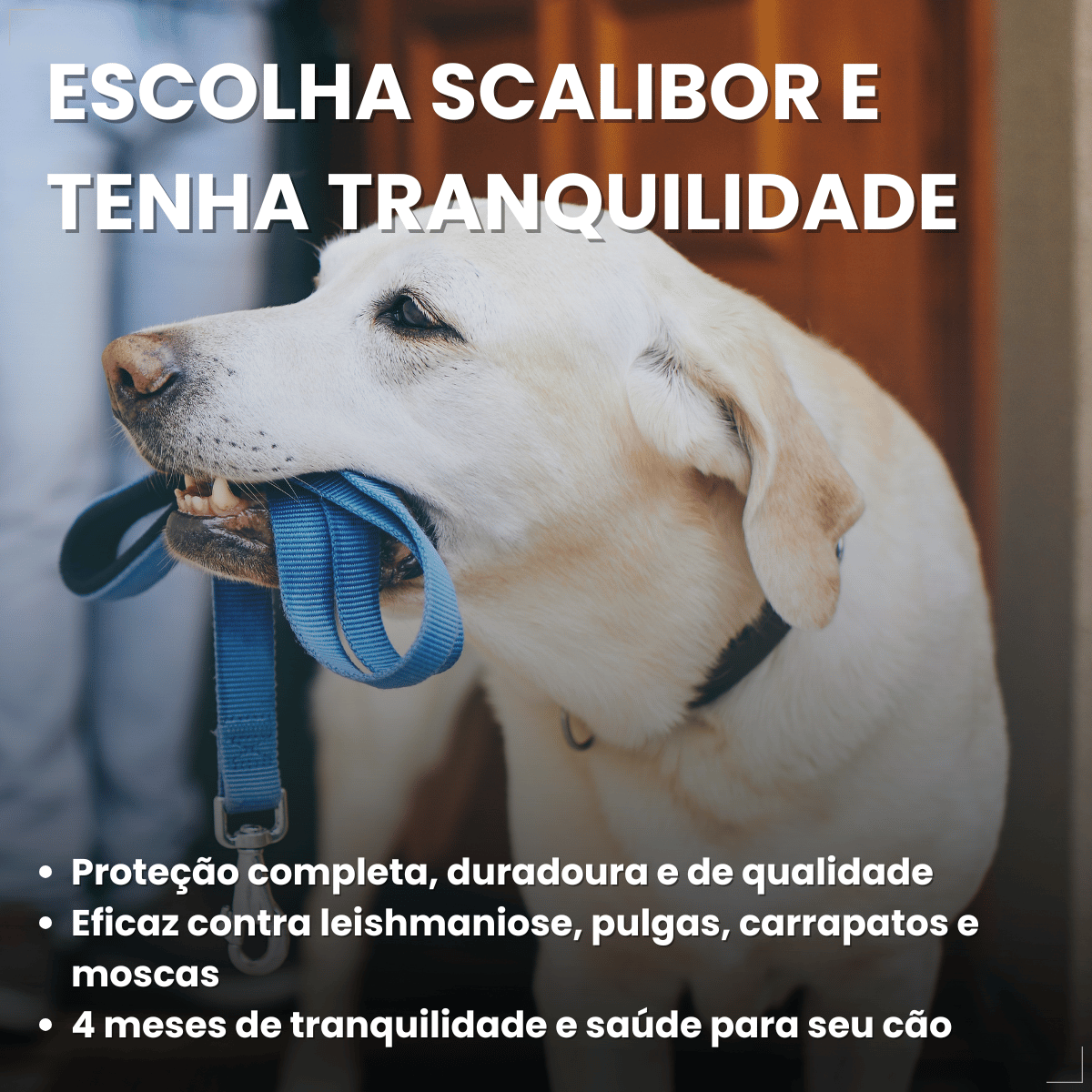 Coleira Scalibor Antipulgas Grande 65cm MSD