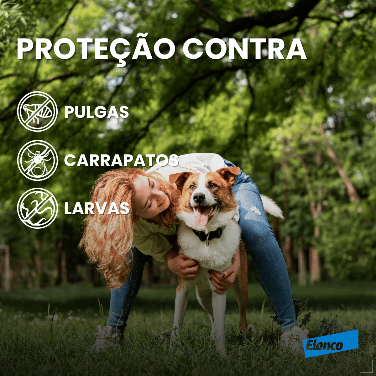 Coleira Antipulgas Carrapatos Elanco Seresto Caes Acima de 8kg