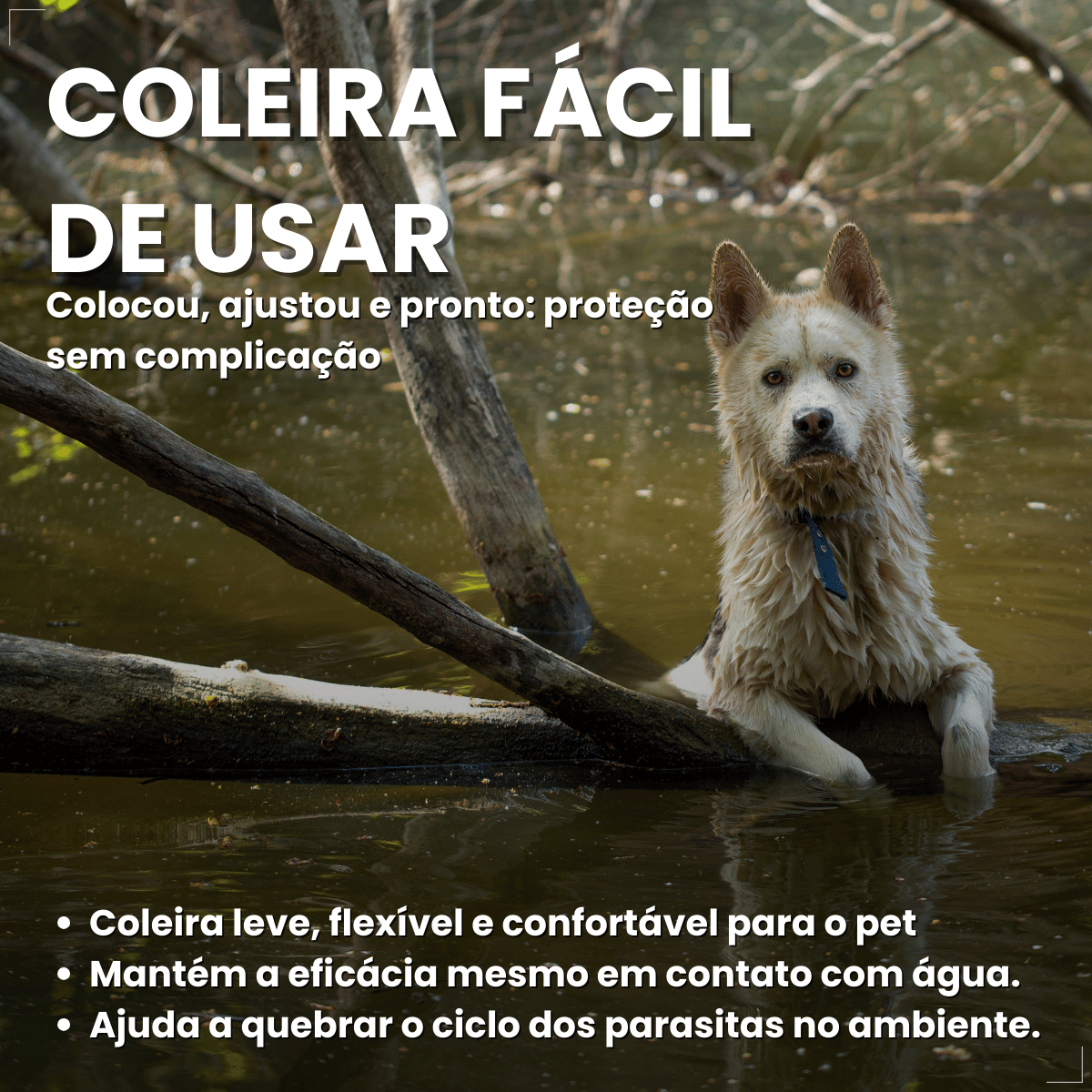 Coleira Antipulgas Carrapatos Elanco Seresto Caes Acima de 8kg
