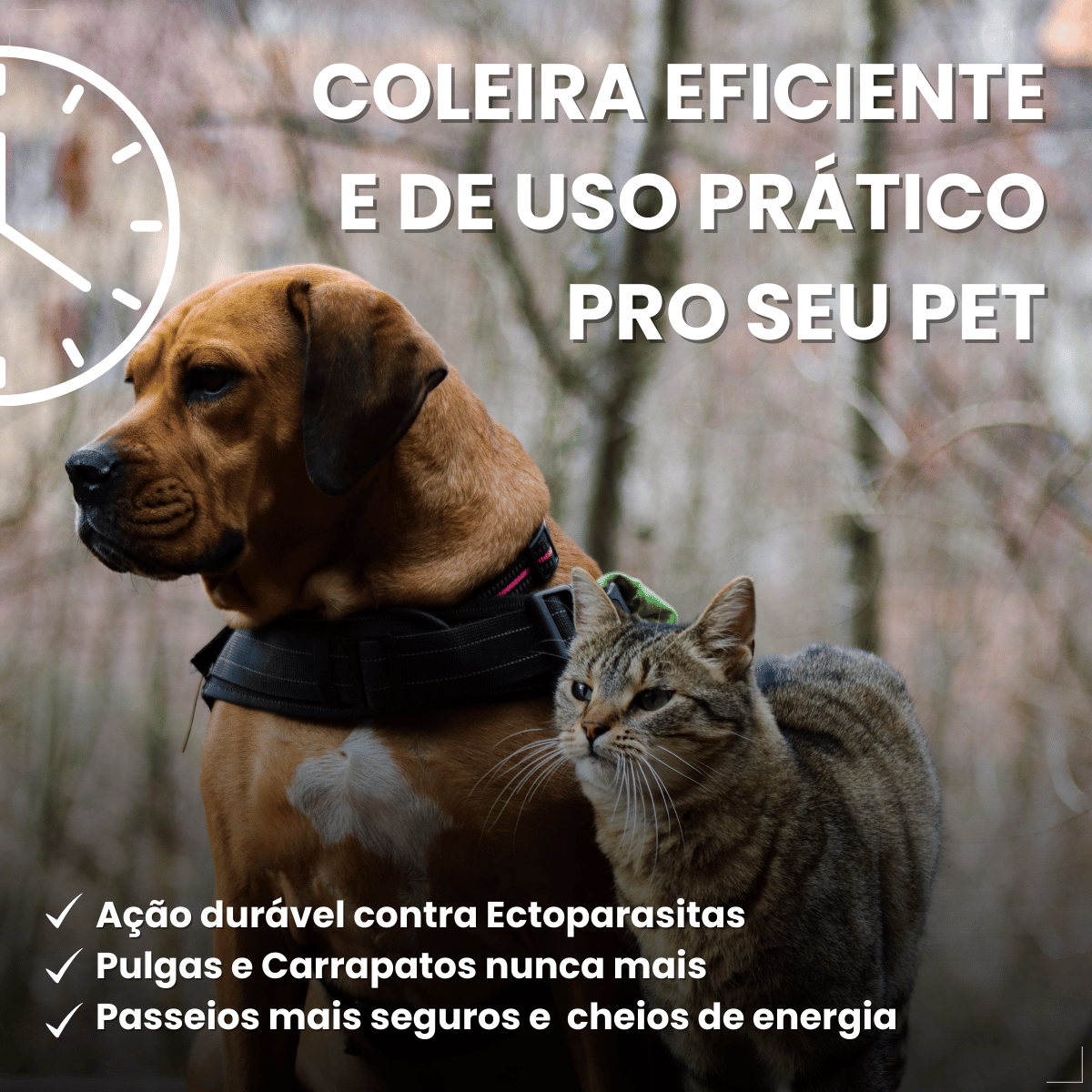 Coleira Antipulgas Carrapatos Elanco Seresto Caes e Gatos Até 8kg